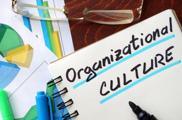 kultura-organizacyjna-w-firmie-jak-ja-definiowac-i-skutecznie-rozwijac-work-agency-poland-warsaw